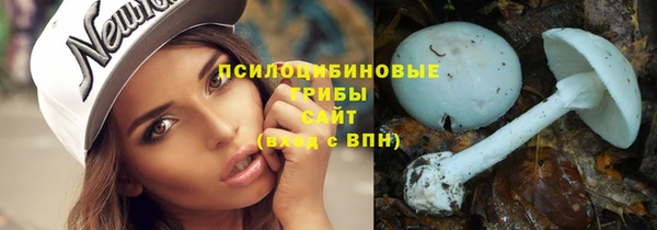 гашик Нягань